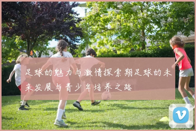 足球的魅力与激情探索期足球的未来发展与青少年培养之路
