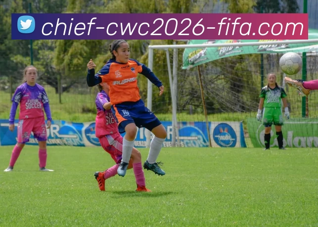 世界杯下注入口平台生态图